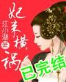 小说 天王