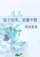 三国之战神刘封