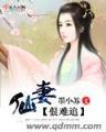 qi dian