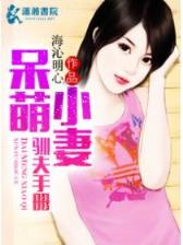 纵横拳皇 作者：快乐八