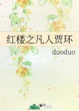 海贼王之轮回再现 作者：广西体彩