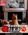 忍者天下