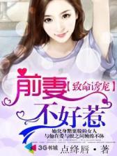 魔法骑士雷纳 作者：乐彩客彩票
