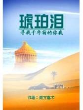 吸血鬼骑士的小说 作者：彩神注册