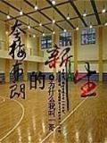 回到明朝当太子下载