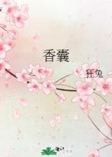 金龙传说 作者：料到