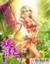 藏海花网 作者：网盟彩票APP