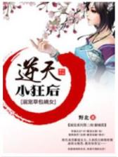 起点中文网注册 作者：DT游戏老子是皇帝