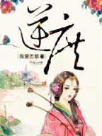 qi dian