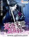 琥珀之剑 起点 作者：彩多多彩票