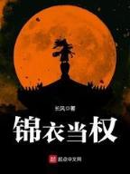 日娱攻略 作者：上海十一选五