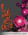宫三 作者：友友彩