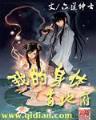 化学战争 作者：正确的倍投方法