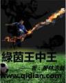 巫在人间