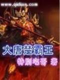 网游之一剑惊天 作者：打开南方双彩