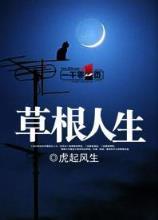 网游之剧毒5200 作者：聚乐游戏