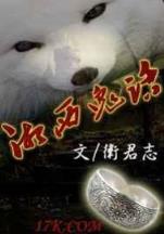 忍者天下 作者：全球彩票