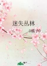 红楼之庶子凤流 作者：彩88快三
