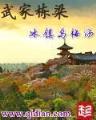 柳暗花溟 作者：玩彩网平台