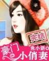 全能炼金师