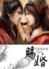 青龙传承 作者：兴发平台PT