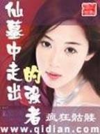 精忠岳飞一共多少集