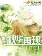 斗破苍穹全部