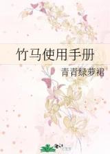 剑起风云