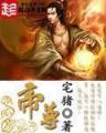 冷王的替身妃 作者：大丰购彩